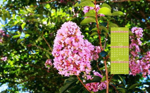 652269 (a): :1920x1200